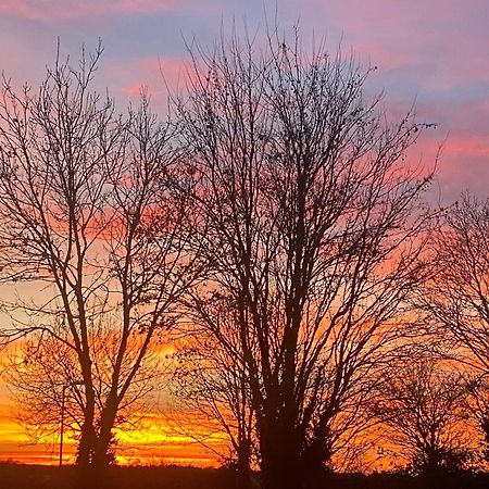 Willow Tree Cottages Newark upon Trent Buitenkant foto